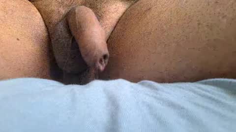 Snapshot of ikbenzo chatting on February 9, 11:36 am ikbenzo online show from February 9, 11:36 am