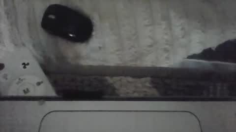 iloveitall86 online show from April 19, 6:10 pm