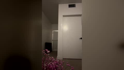 imlightskn online show from April 9, 6:11 am