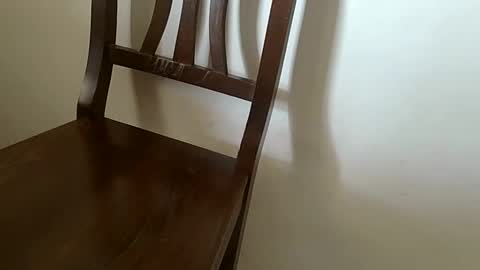 improta81 online show from March 10, 9:04 am