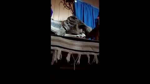 in201943 online show from May 3, 6:49 am