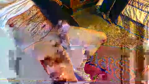 indiana50nhot online show from December 3, 9:01 pm