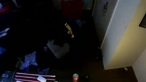 BearlyLoganFL online show from November 19, 5:40 am