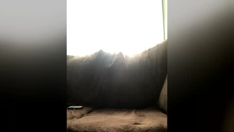 j318906 online show from June 24, 8:44 pm