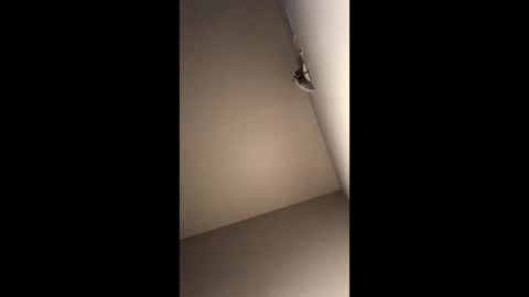 j676684 online show from February 18, 6:00 am