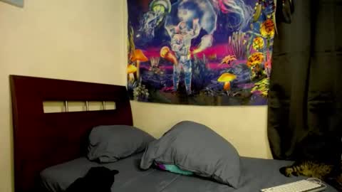 Jacob stid77 online show from December 3, 5:24 am