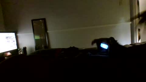 Jamacian online show from September 21, 9:37 pm