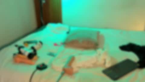 james_lincoln online show from November 14, 6:31 pm