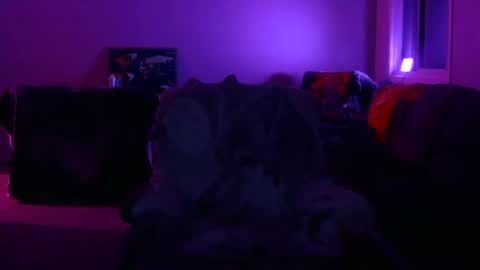 jameswolf777 online show from February 5, 10:55 am