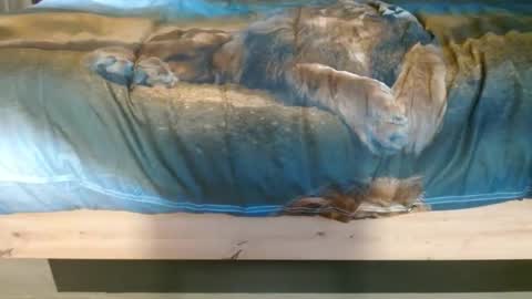 JasMarks online show from January 9, 5:07 pm