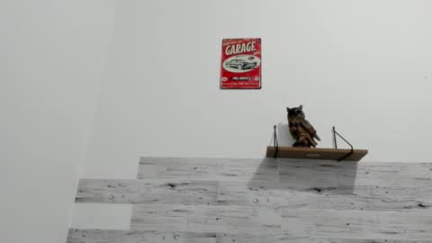 Jaycreedd online show from November 21, 3:27 am