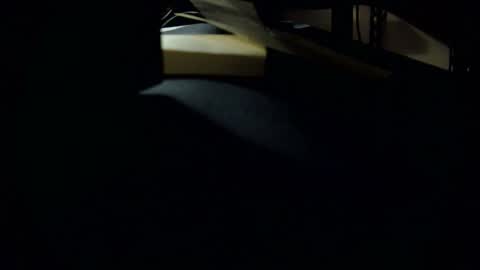 dookie online show from March 1, 10:24 am