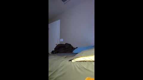 jdtripp15 online show from February 15, 2:03 pm