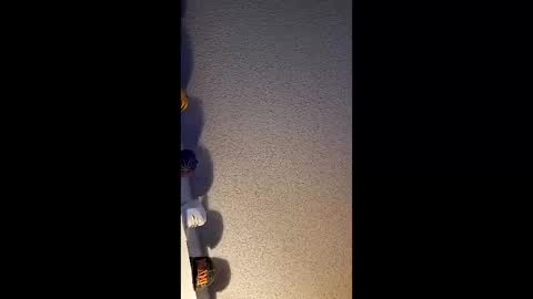 Joseph Mendham online show from February 15, 2:51 am