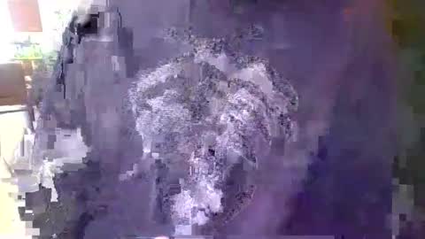 joeblow2525 online show from March 1, 1:51 pm