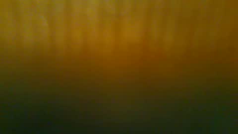 johnnyshung1 online show from December 21, 11:51 am