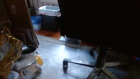 joncpics online show from November 6, 8:23 pm