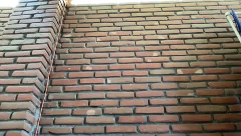 JorgeMAXX online show from February 9, 8:34 pm