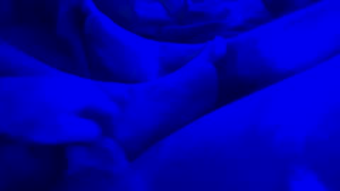 Yuri online show from January 14, 7:59 am