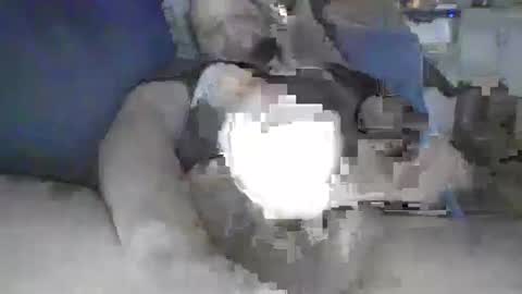 justright1 online show from January 4, 6:19 pm