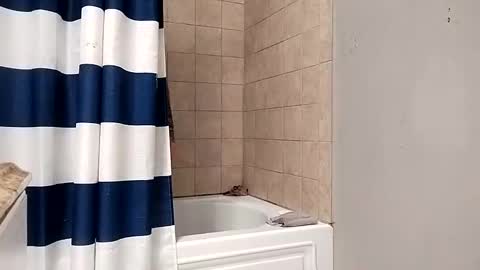 kingdongkonglong online show from January 21, 5:06 am