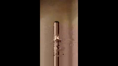 kini8278 online show from February 21, 1:56 pm