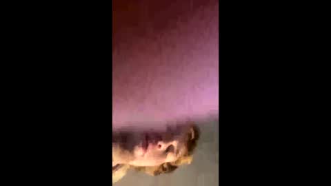 kylelovepussy69 online show from February 27, 10:15 am