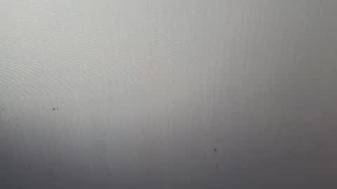 Adonis online show from March 7, 4:02 am