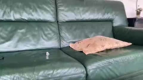 lastbb159640 online show from March 21, 1:37 pm