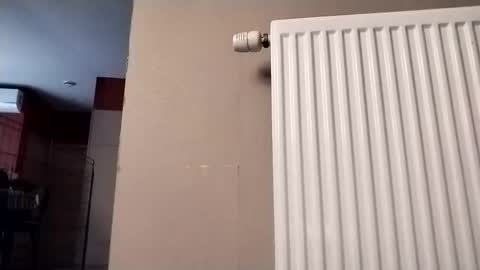 Law online show from December 17, 12:12 pm