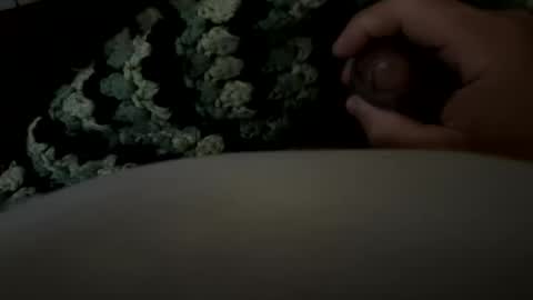 lc6173 online show from March 23, 7:53 pm