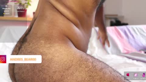 Little bear - give my room a like thanks. online show from January 21, 2:44 pm