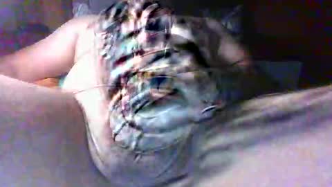 Snapshot of litwinpaweel chatting on October 17, 8:35 pm litwinpaweel online show from October 17, 8:35 pm