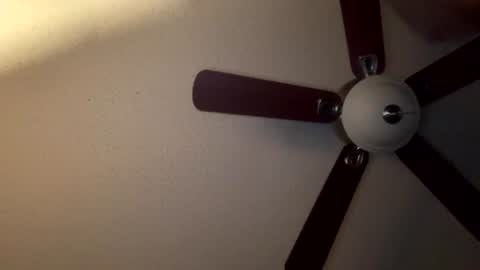 selffuck online show from August 2, 8:45 am