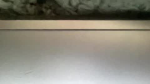 lno14 online show from March 14, 4:36 pm