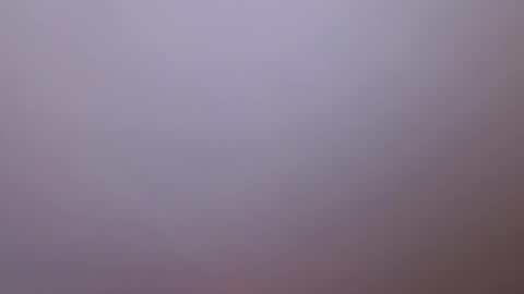 lockdownlove online show from January 16, 11:58 am