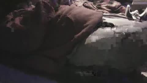 Sean online show from April 22, 8:30 am