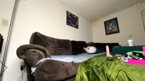 Lucas Cifrady online show from January 14, 10:13 pm