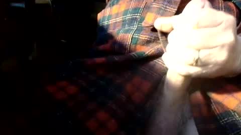 BIG Daddy cock. Tips make it harder  online show from March 12, 7:49 am