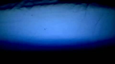 luffray online show from February 9, 11:53 pm