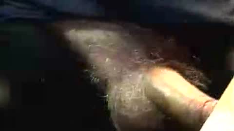 lukestarfckr online show from November 25, 8:33 pm