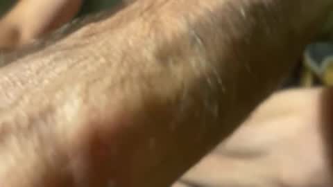 lupushorny online show from January 16, 5:10 am