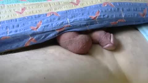 maestro2017 online show from April 25, 6:38 am