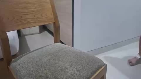 Eli online show from January 11, 9:46 am