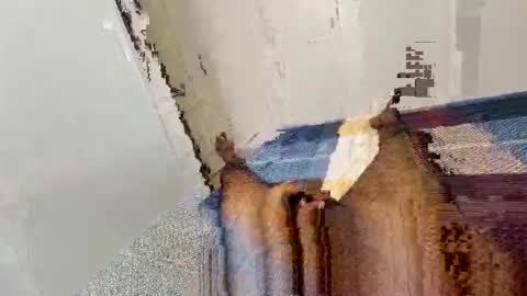 malayalitheboss online show from September 10, 1:37 am