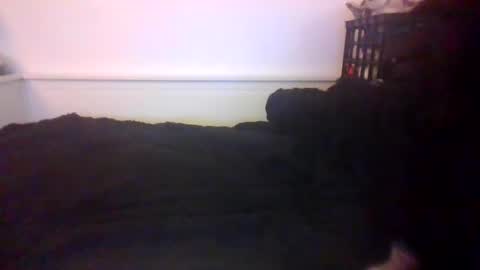 Snapshot of malebdsmslut chatting on October 20, 7:23 am CommandbondageNipples bondage kink submissive lovense slave wgear. modequiethvyBondage If Password goldfish online show from October 20, 7:23 am