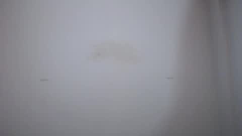 maluma4you online show from December 13, 11:45 am