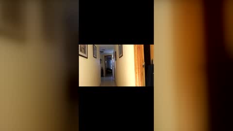 marcos260526 online show from February 1, 3:44 pm