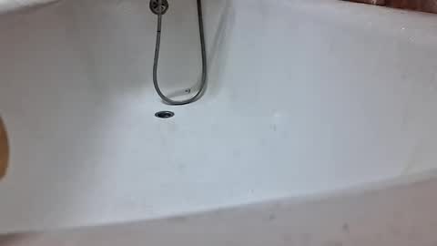 marian20242025 online show from January 7, 6:02 pm