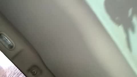 marinevet078 online show from March 22, 2:44 pm